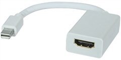 Mini Display Port TO HDMI Cable L 20CM-preview.jpg
